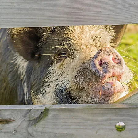 別荘 3 Bed In Carnforth 96319 *